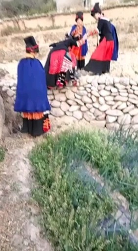厉害了我的姐