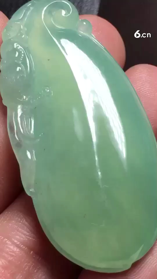 a✨SN6827阳绿福瓜，种老