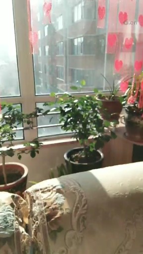 清晨