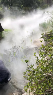 我们在上海滨江公园玩