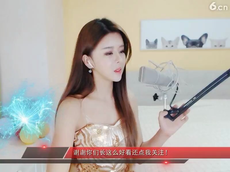 林中的小鸟