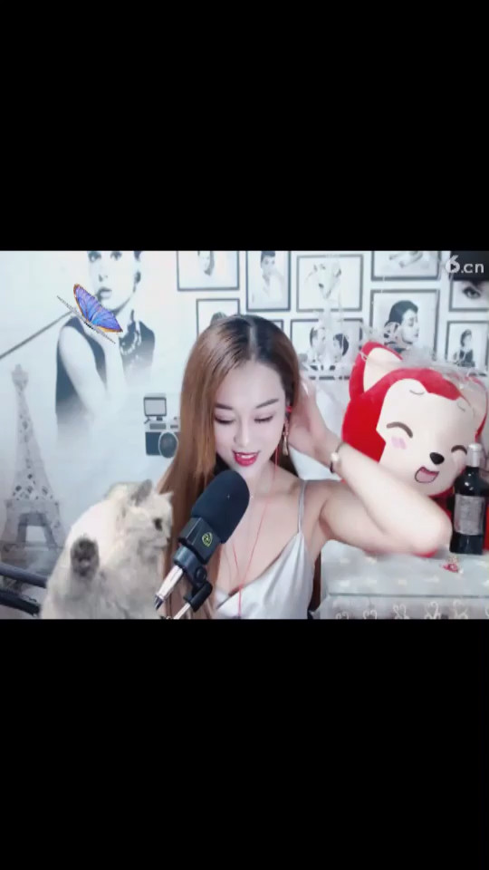 猫猫好可爱，真的还是假的，你好