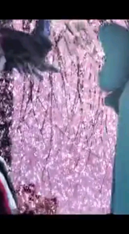 愚人节快乐😜😜😜