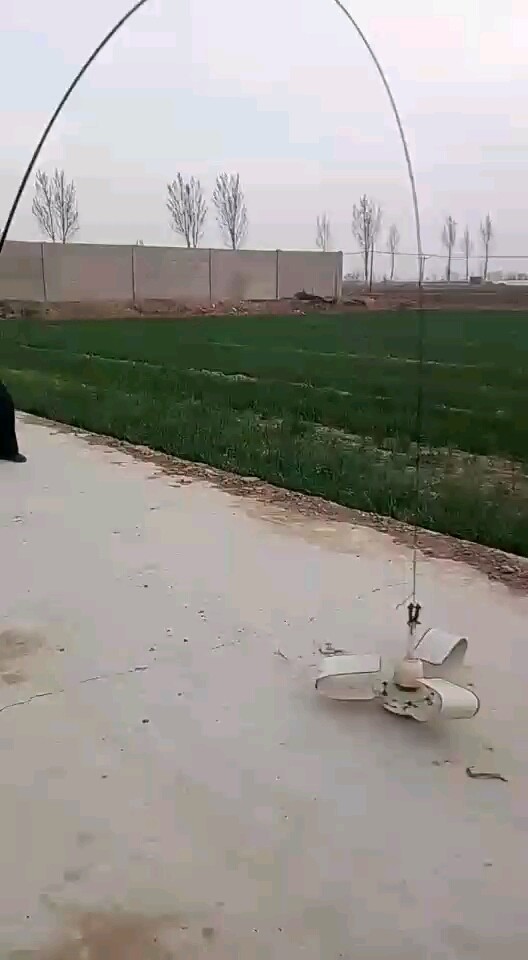 猛禽大物竿测试中