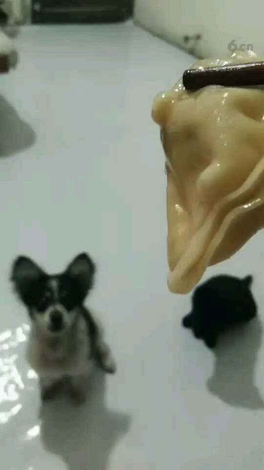 坐好也没奖励