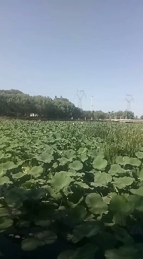 葫芦岛市地藏寺