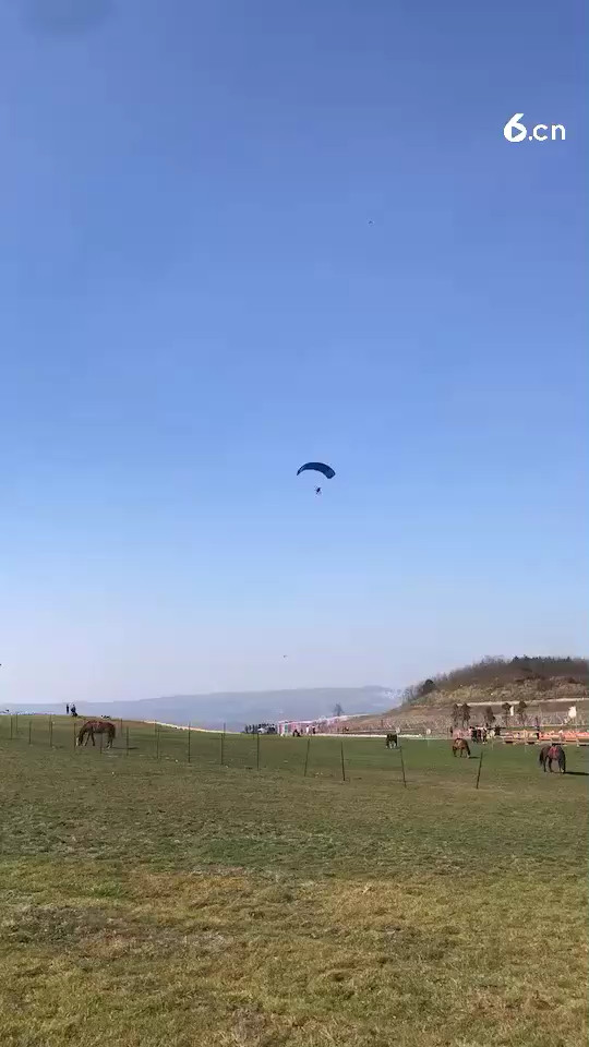 这里怎么样老铁们