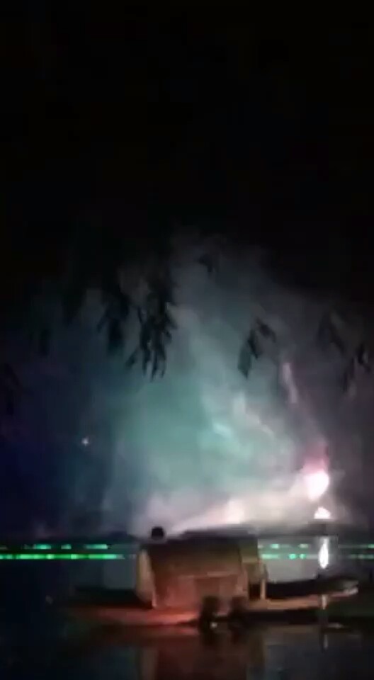 大莲花