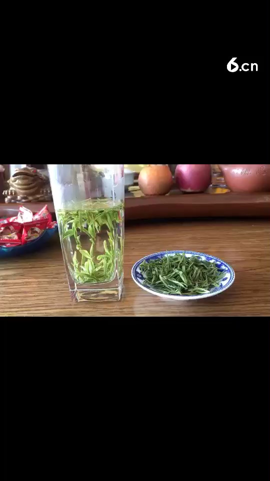 高山安吉白茶 新上市