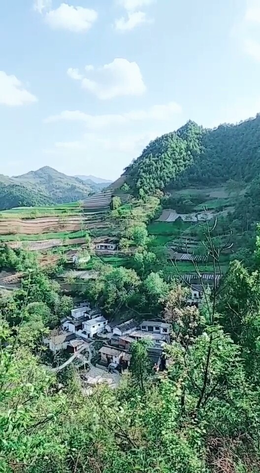 甘肃陇西县一片山绿景色