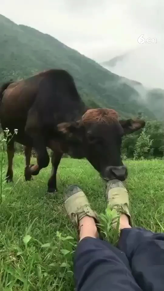 看看大山