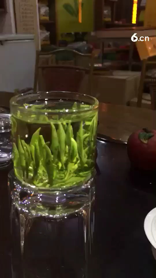 新茶雀舌