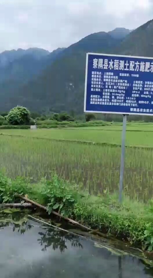 田园