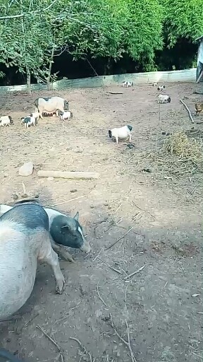 秋风凉爽，，