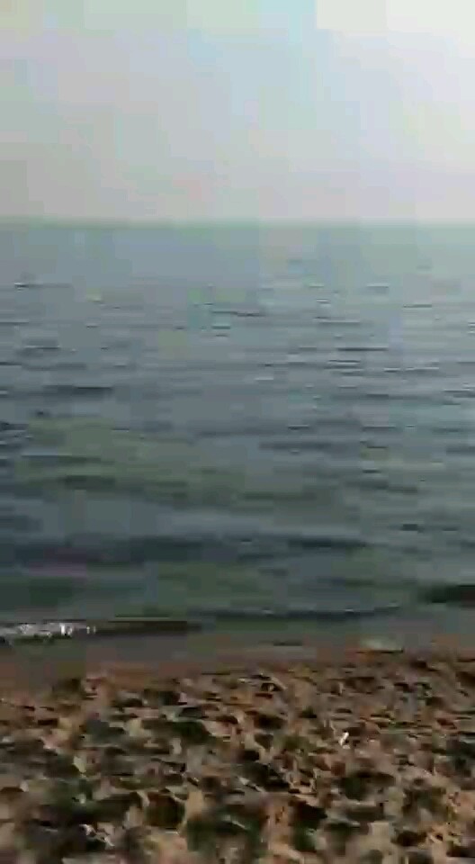 美丽的兴凯湖
