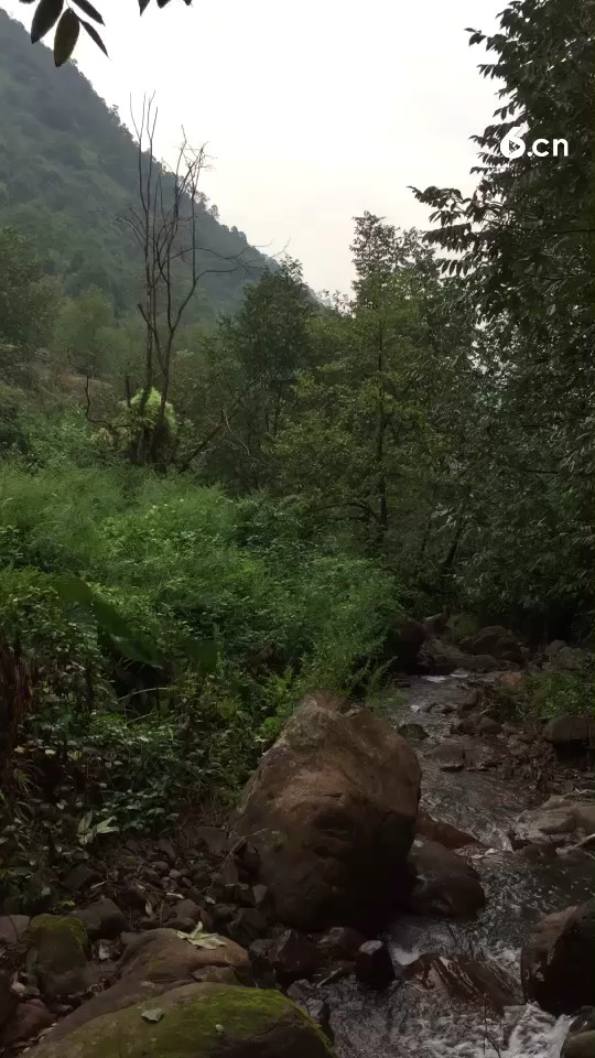 家乡