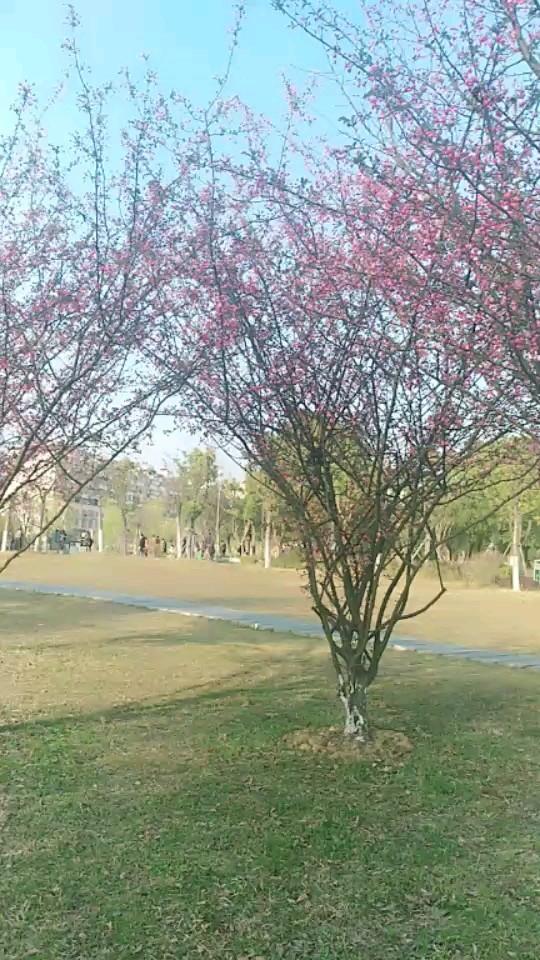 天气晴朗，适合溜达