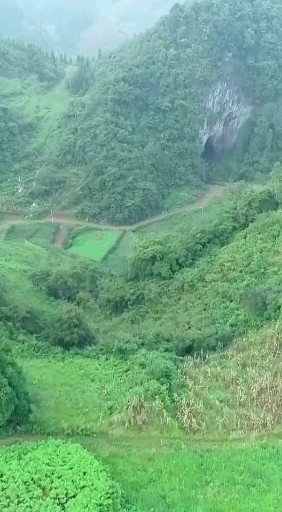 美丽的家