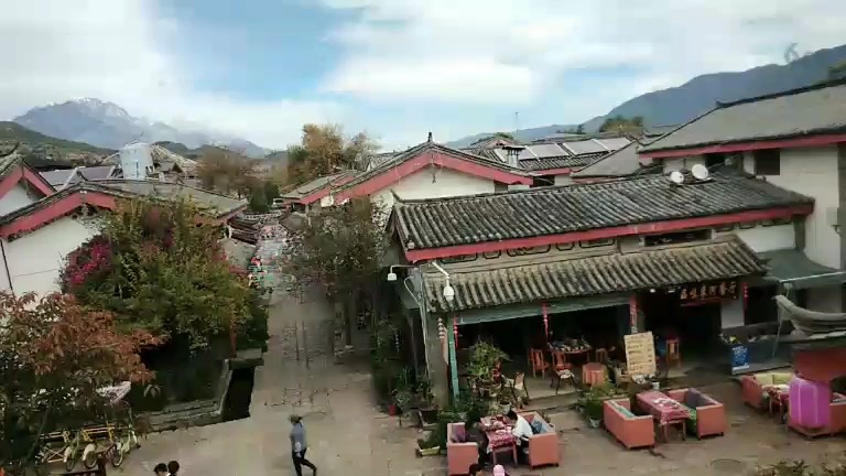 树和古镇