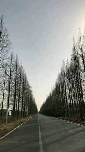 感谢一路有你陪我，有你真好