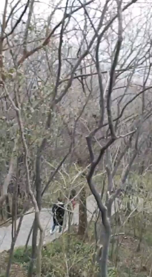 半山腰了耶