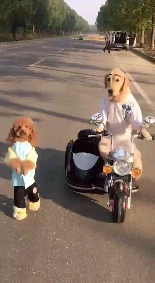 开车没有走路快