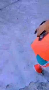 搞笑公雞太牛了??