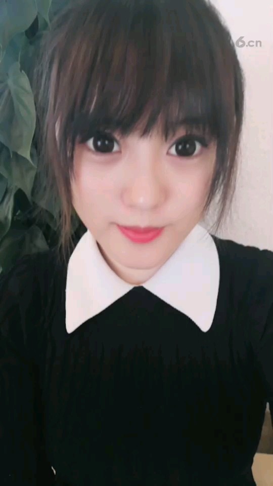 呵呵希望有评论