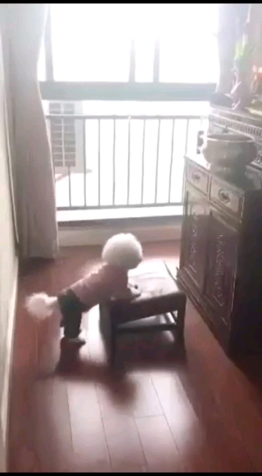 超可爱的