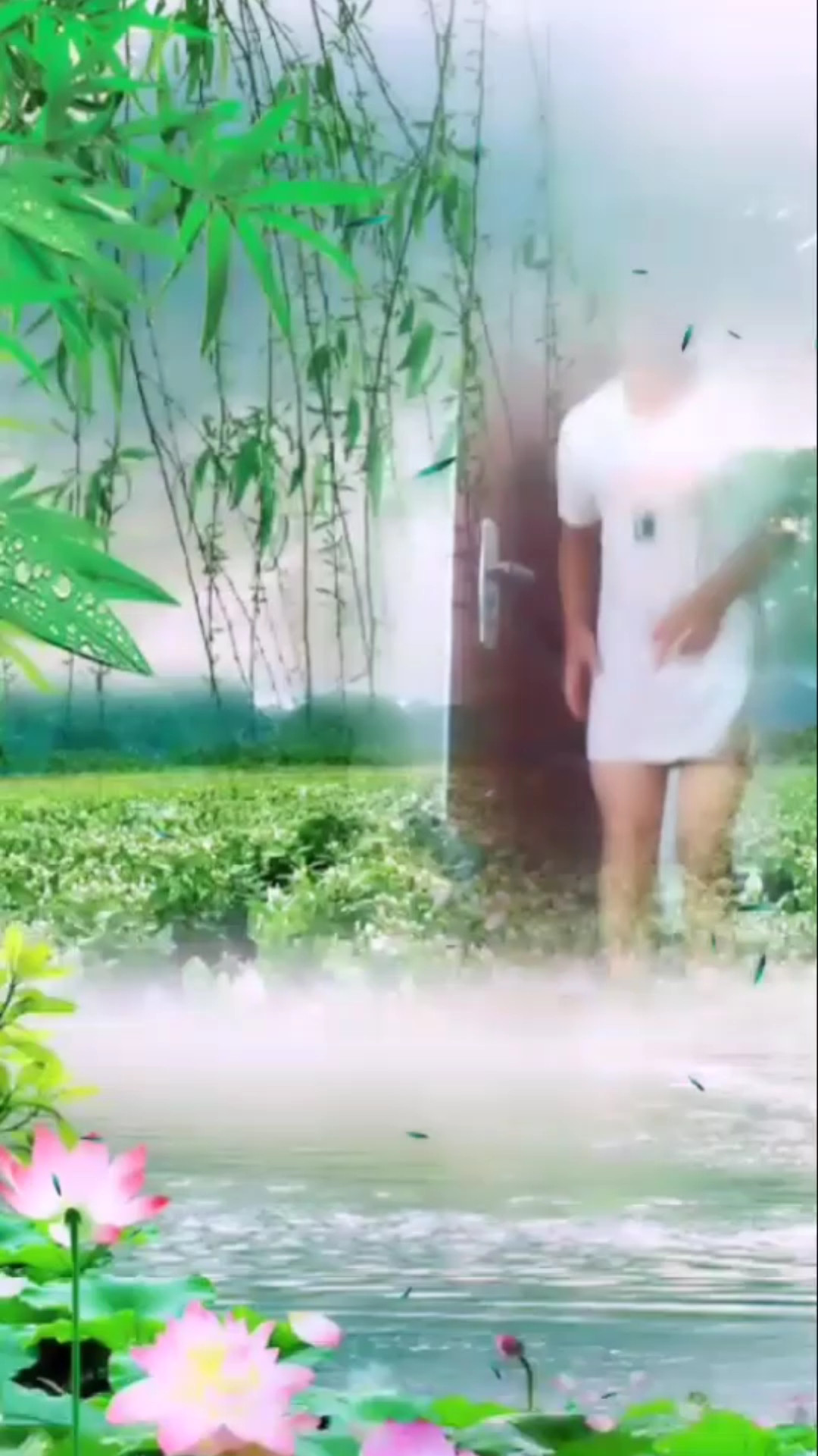 艺妓飓风快高考v客服