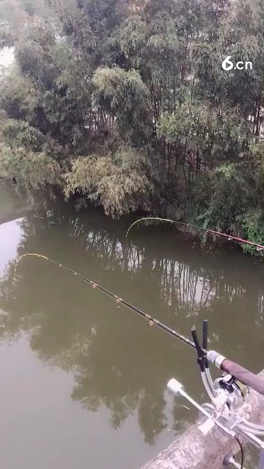 无聊学钓鱼