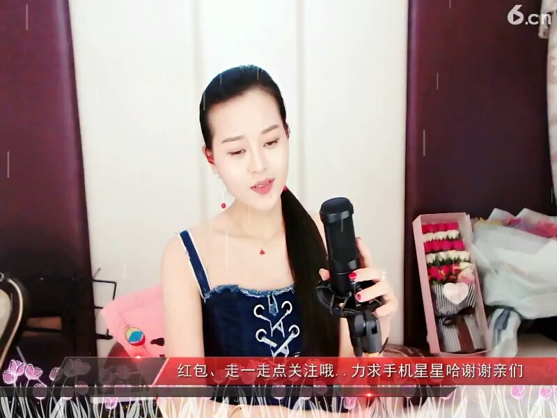 半壶纱