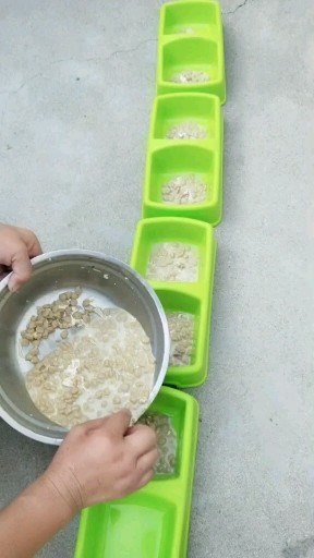 一家人要整整齐齐