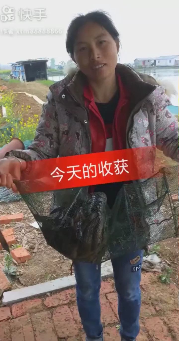 今天的收获