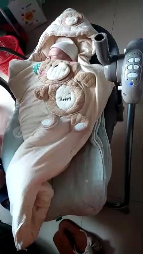 摇篮椅里的小毛虫