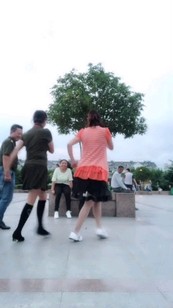 一首东北东北在上海华新公园嗨摇