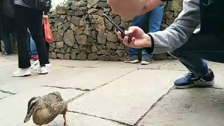 😂