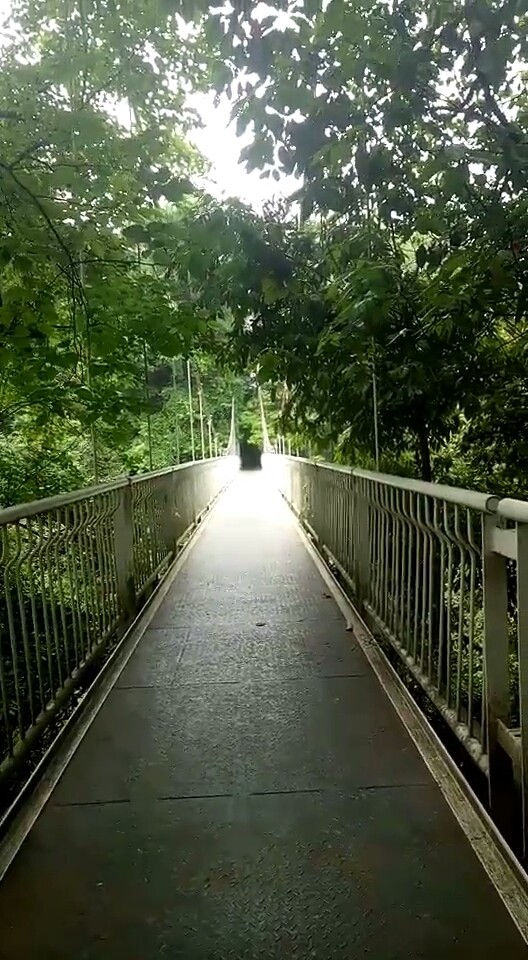 情人桥上约会了