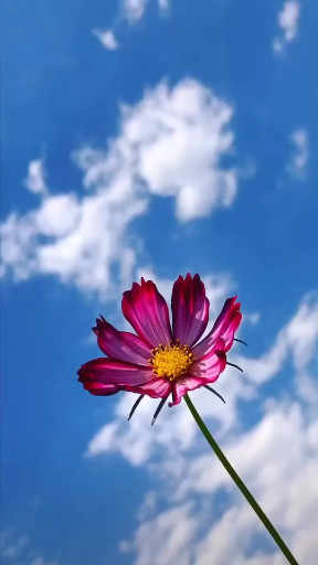 你是我过不去的江东