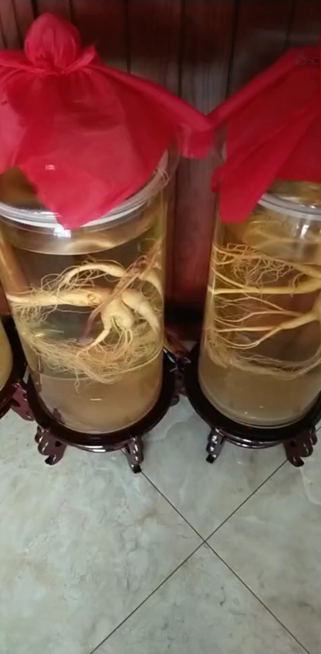 人参泡酒