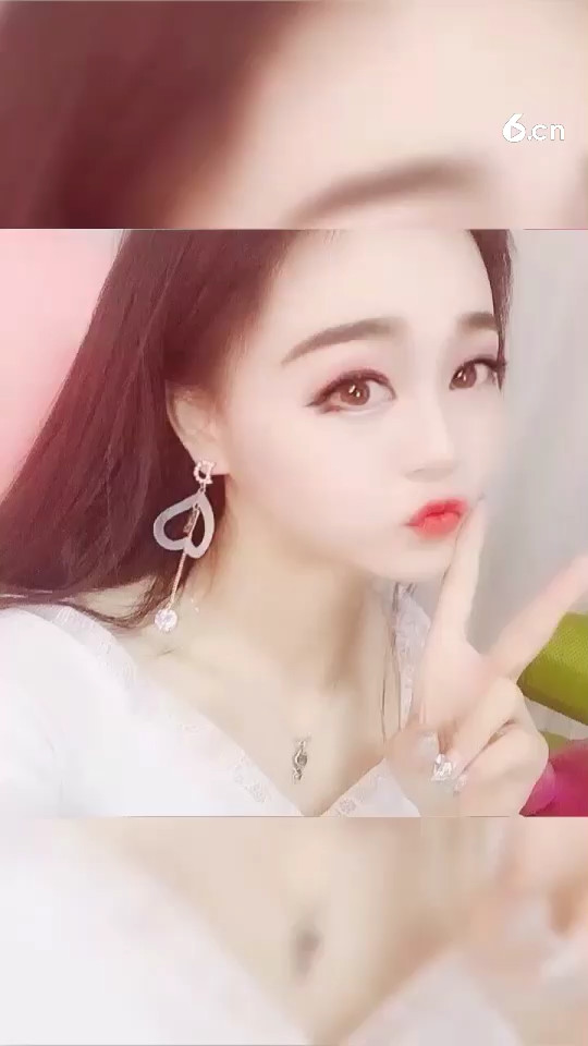 猫猫暂时不在 不要忘记我