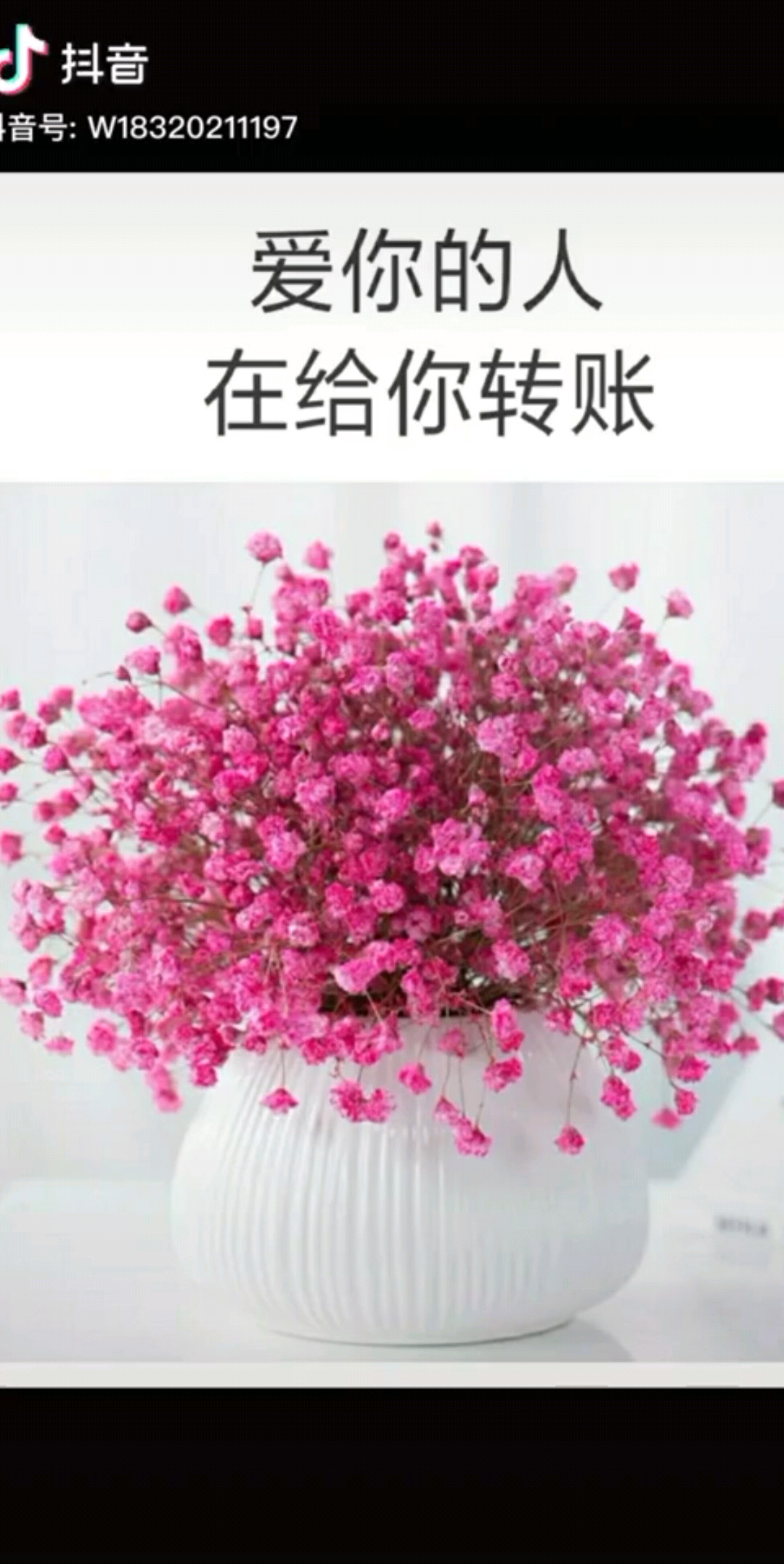 你会是哪一种？