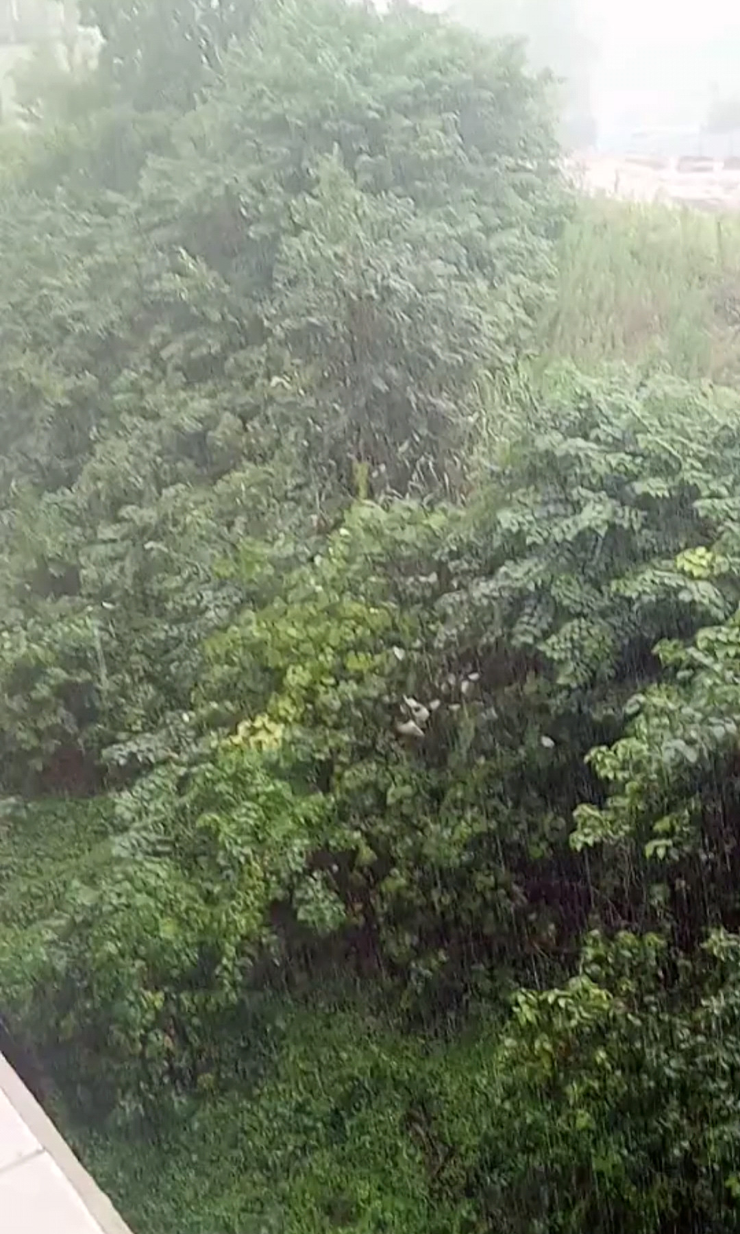 好大的暴雨