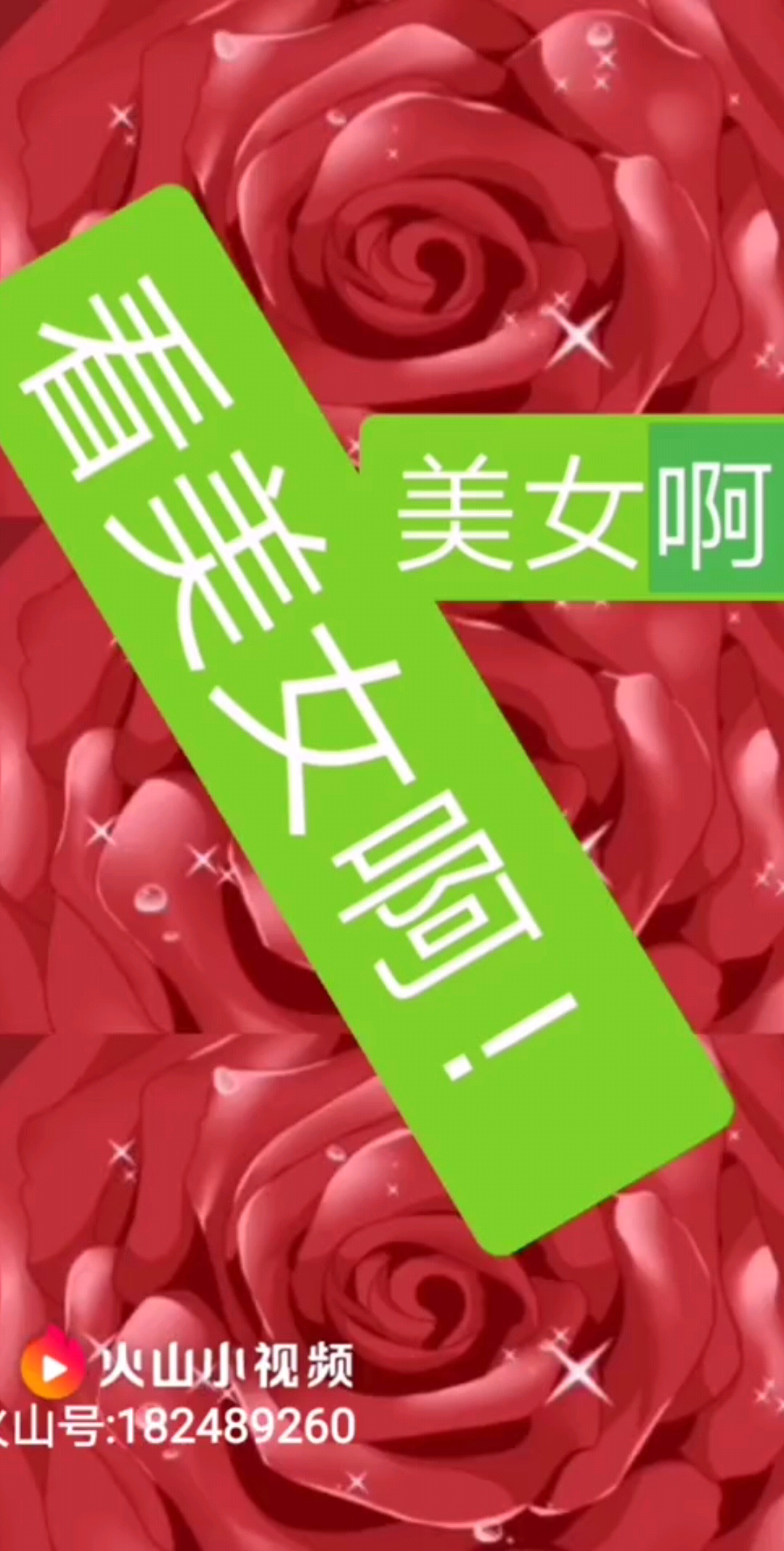七夕礼物，大美女，宝贝们