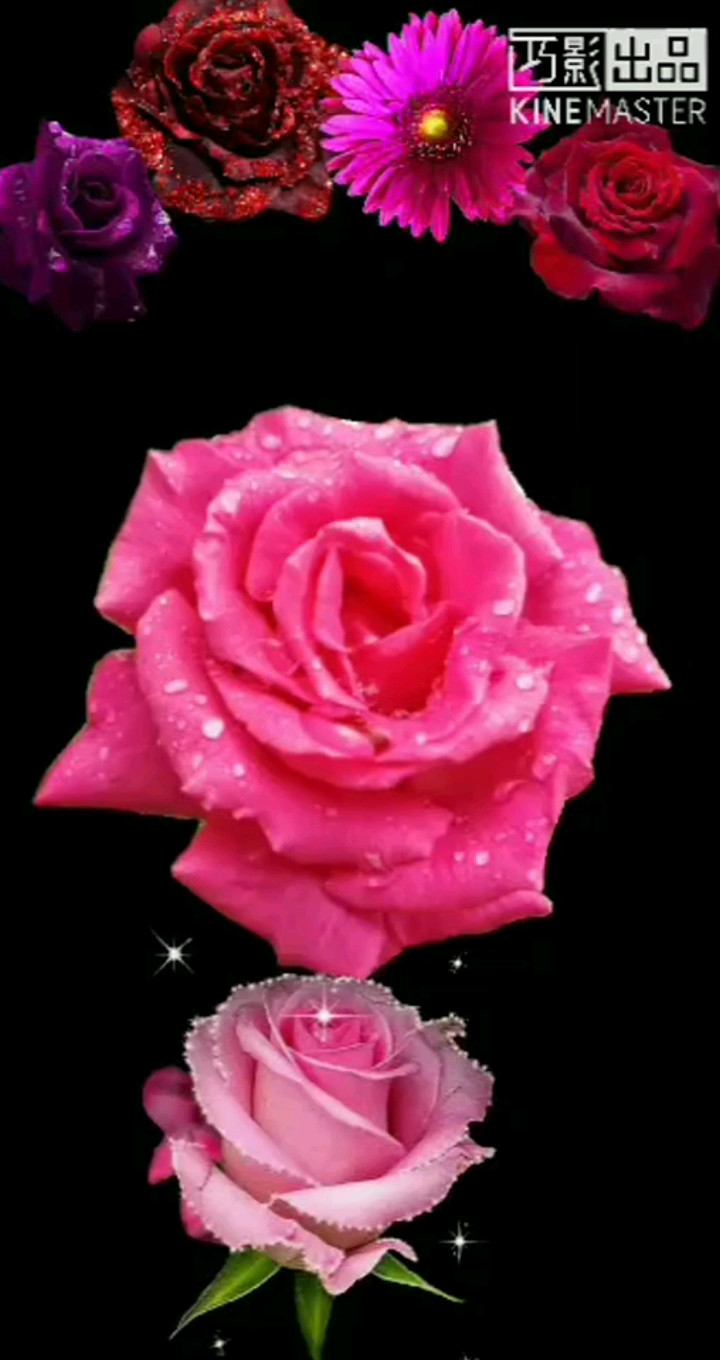这个作品是我自己做的😂🌹