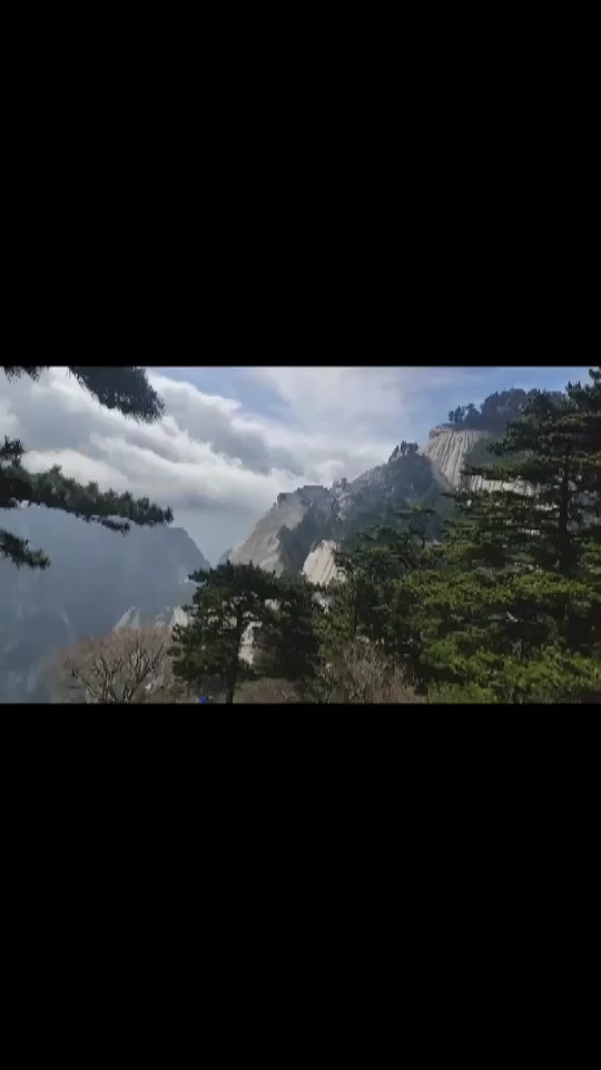 鹞子翻身
