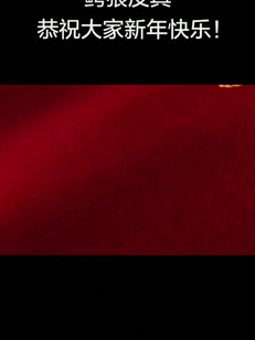 新年好祝大家发发发财。