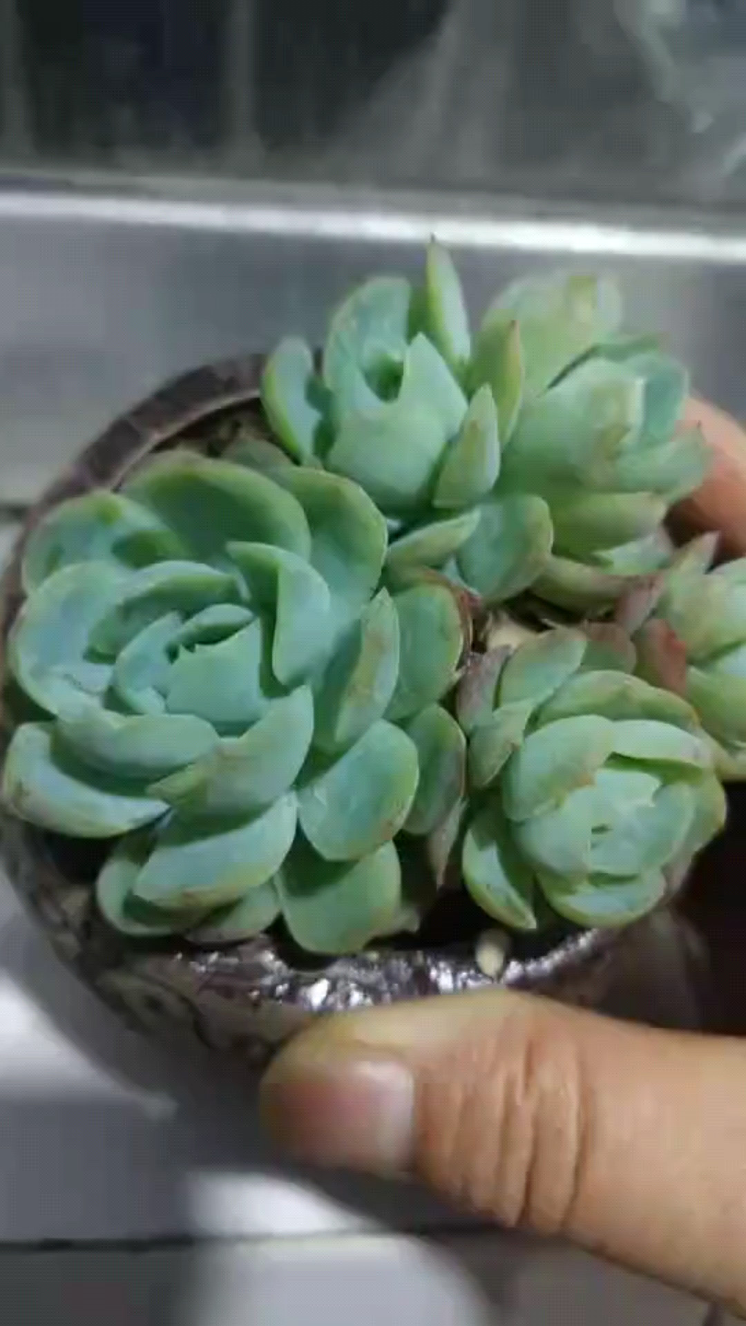 夜靜