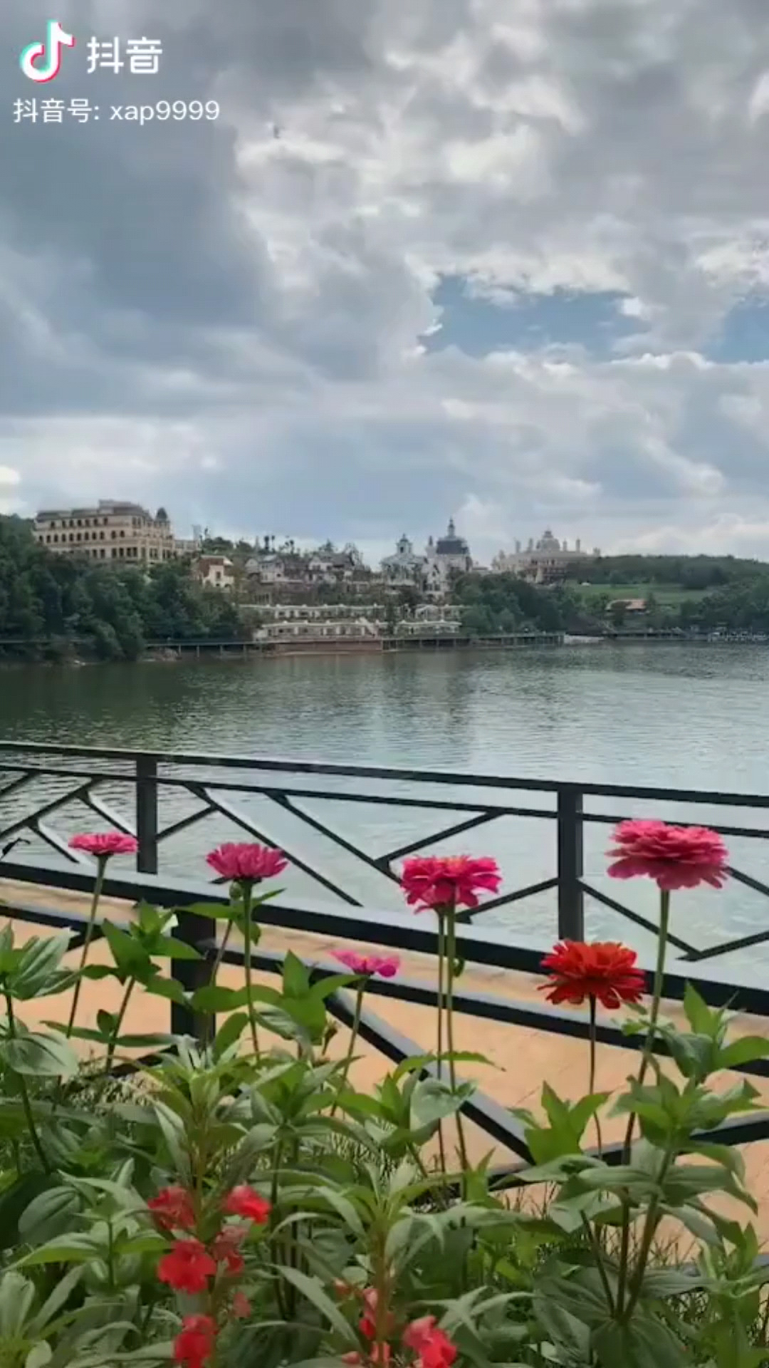 美丽的上海老面馆