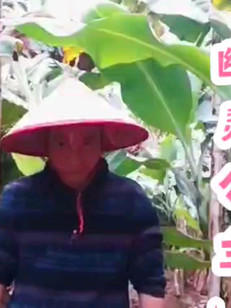 【尺八】演奏《幽灵公主》宫崎骏